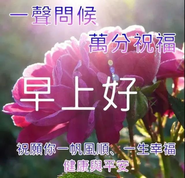 超漂亮的早上好問候帶字祝福語圖片最新版早上好表情圖片