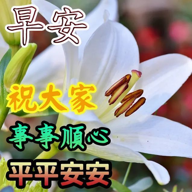 清晨最美早上好问候祝福语动图表情图片早上好问候语暖心的句子