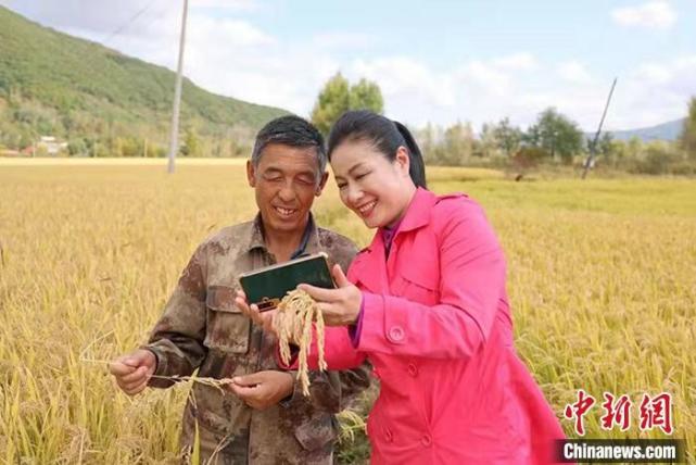"行万里路"的初建美:"空心村"呼唤"实心人"