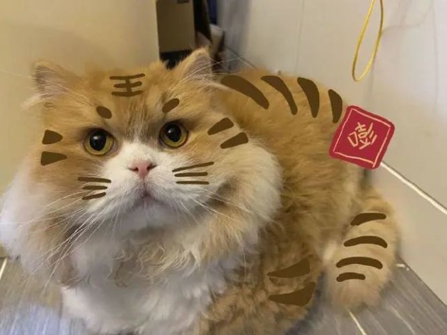 2022年新年头像小脑虎