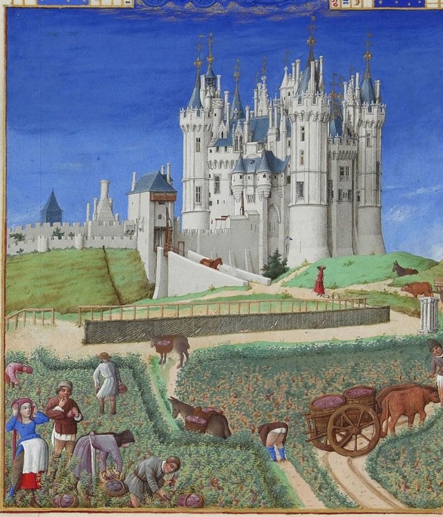 生动奇特的哥特式抄本绘画