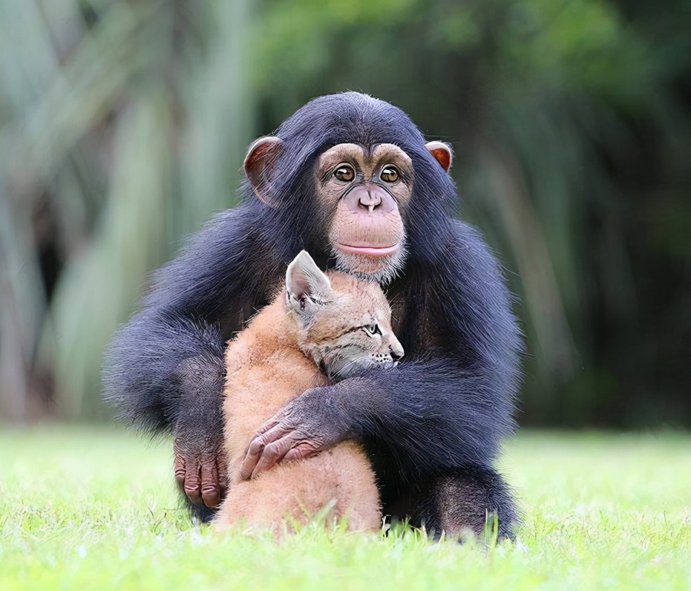 生殖隔離有多可怕人類和動物都存在生殖隔離嗎為啥黃黑白種人都能自由