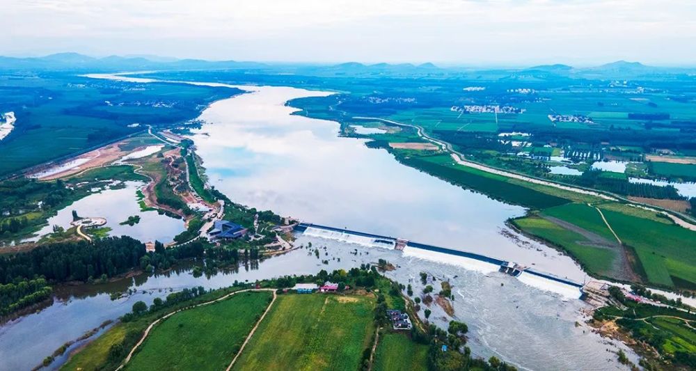 只此青绿谁能不爱东平湖这生机勃勃的醉人春色
