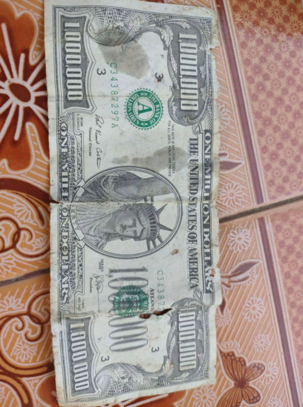 有面值100万美元的钞票男子发财梦破灭