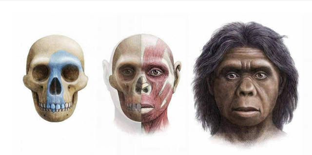 100万年后的人类多强大科学家拟出草图人类不再惧怕死亡