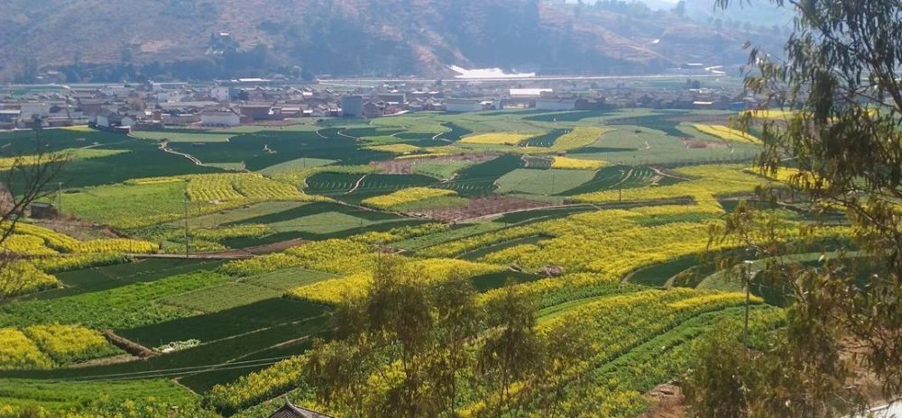 美麗山鄉平川,來到了賓川東面崇山峻嶺深處的尋著嫋嫋升騰的炊煙,春風