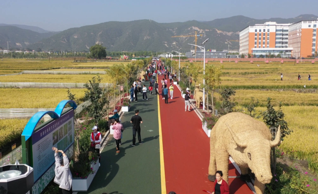 稻田公園在太原市晉源區貞觀街花塔村南邊,它是一座總佔地面積800餘畝