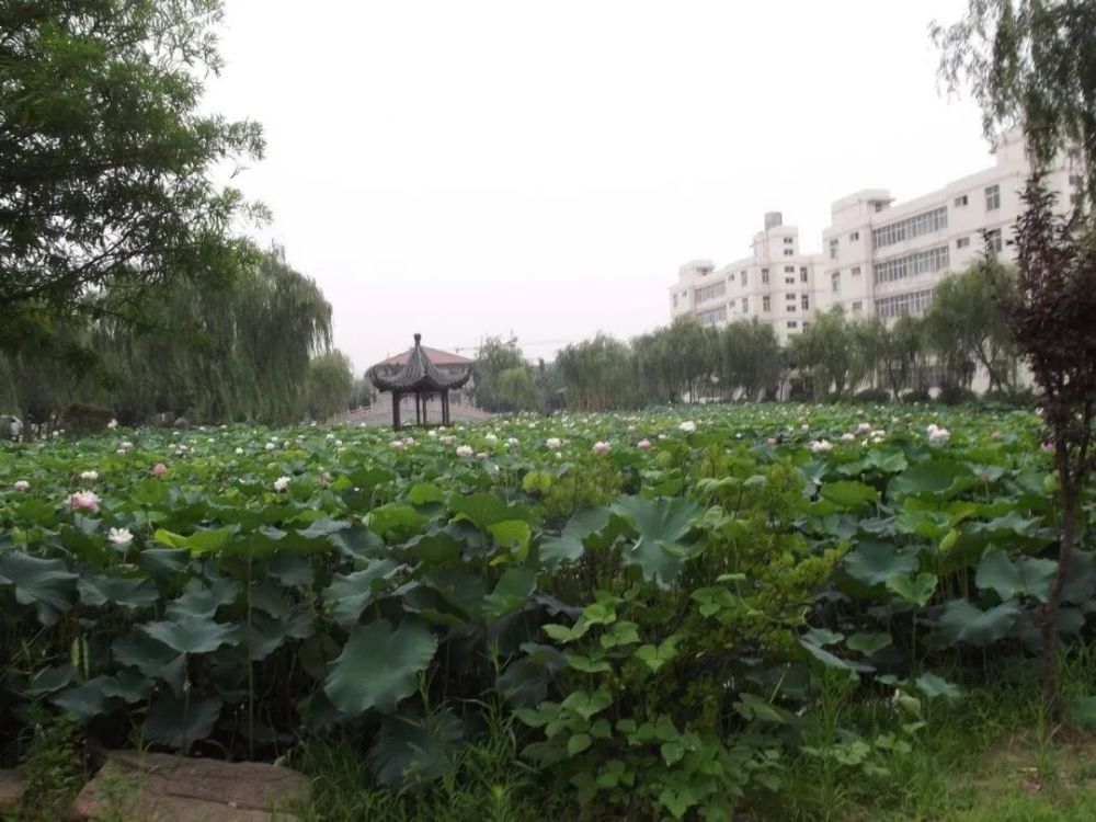 大鬼点评2013年10月26日,位于黄海之滨,海州湾畔的江苏省赣榆高级中学
