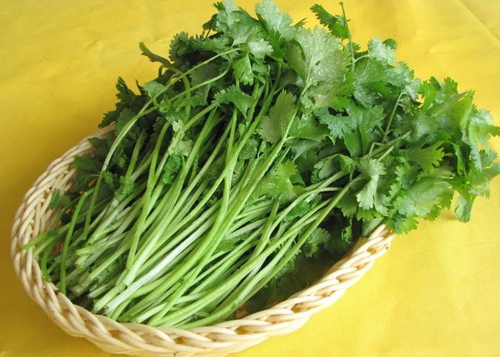 想哭的症状本以为是食物中毒带着悲愤的心情跑到医院一查居然是过敏过