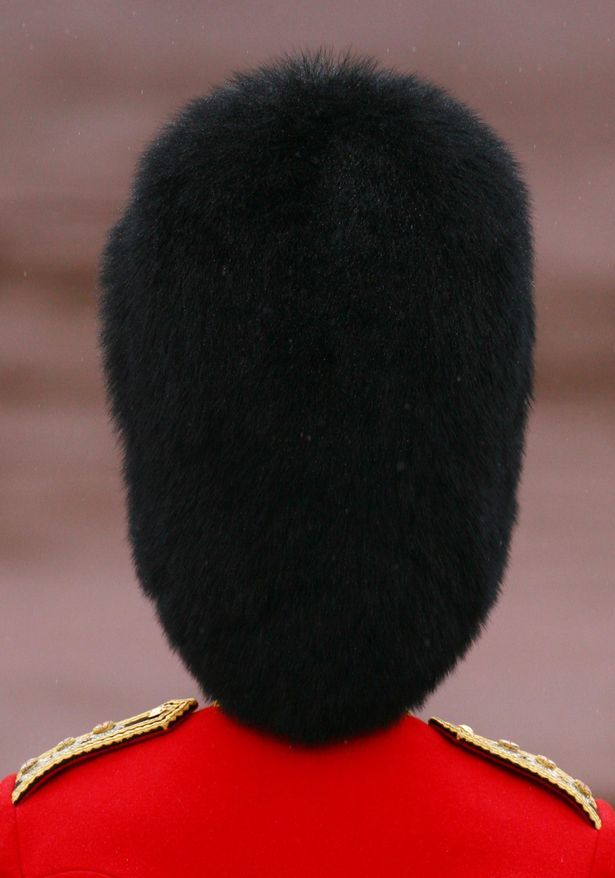 英国卫队熊皮帽子图片