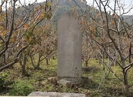 横空出世后,西安江村大墓入围全国十大考古新发现终评!