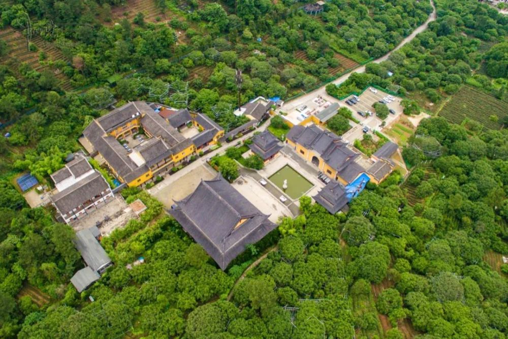 苏州有座古寺因泉得名 周围却种满杨梅树 可能已有1000多年历史 腾讯新闻