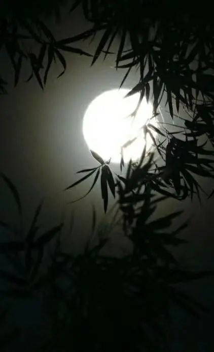 文学作品故乡是心底的一轮明月王利民