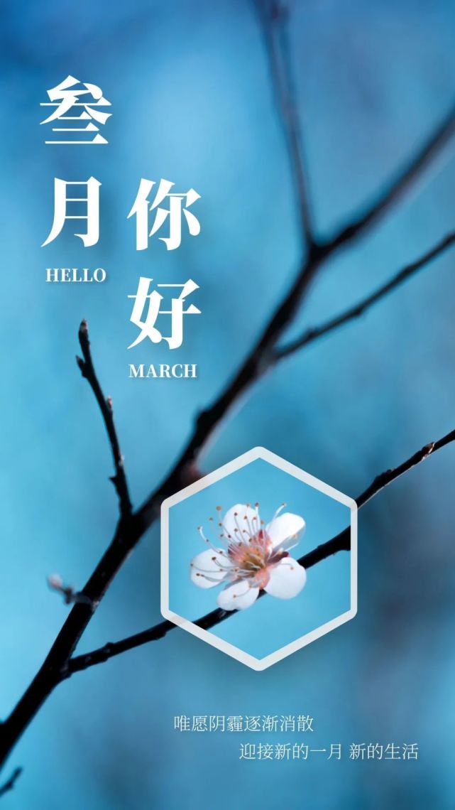三月你好,朋友圈配图