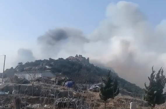 大珠山风景区又发生火灾森林火灾又到高发期警惕