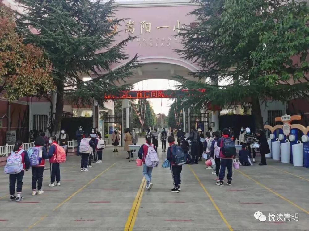 嵩阳小学图片