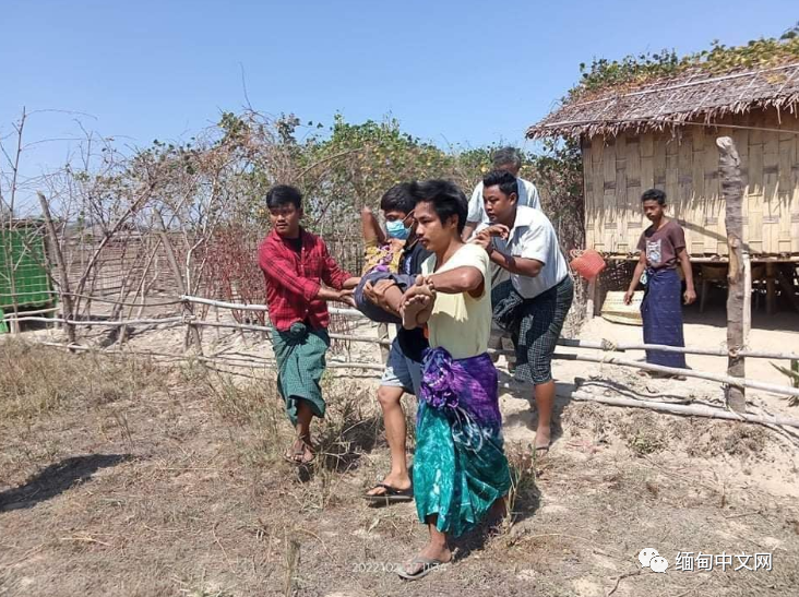 被野象用鼻子卷起来扔出去时脖子被折断！缅甸一女子被野象袭击身亡虾子腐竹的家常做法