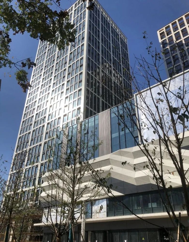 滨江滨悦城公馆一层一户300480㎡国际滨城市瞻江墅级豪宅首映在即敬请