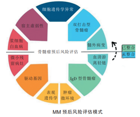 多发性骨髓瘤预后评价之cd33与cd13