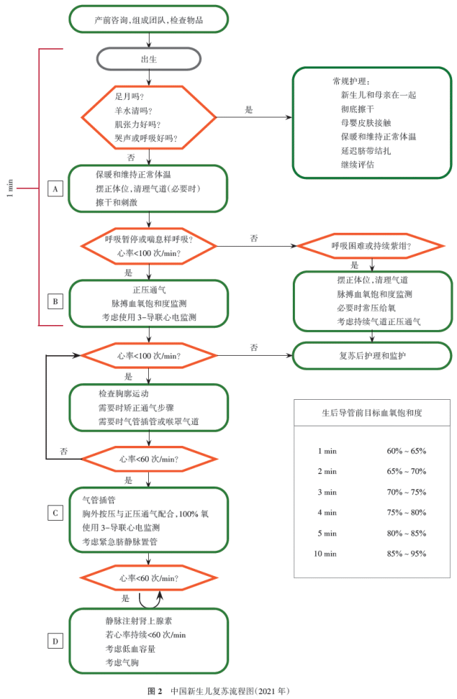 中国新生儿复苏流程图