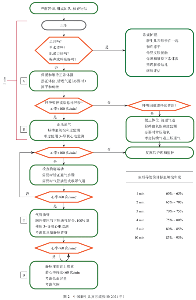 新生儿心肺复苏流程图图片