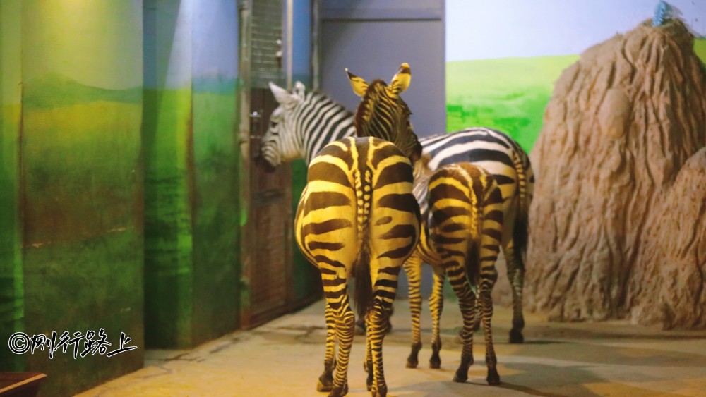 探秘東北地區最大的動植物園齊齊哈爾龍沙動植物園