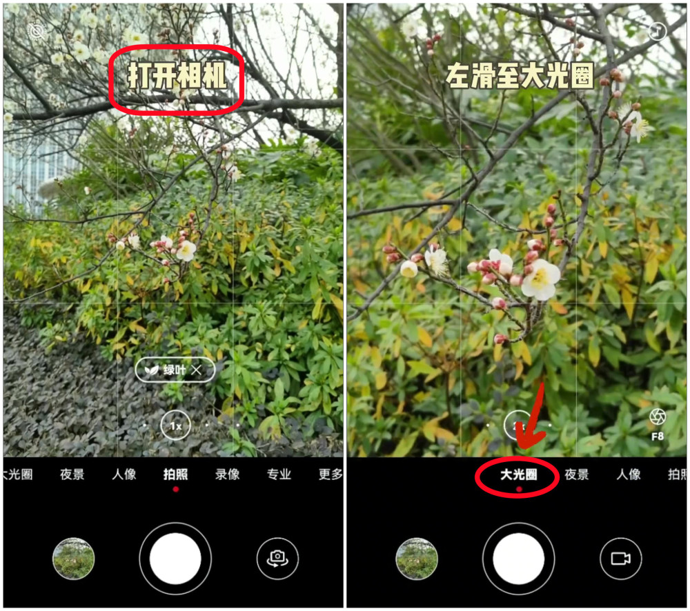 华为手机拍照各种模式拍摄技巧图解视频教程(华为手机拍照各种模式拍摄技巧图解视频教程下载)