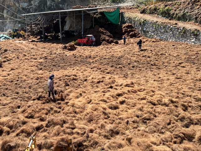 红河县石头寨乡盘活传统产业助力乡村振兴