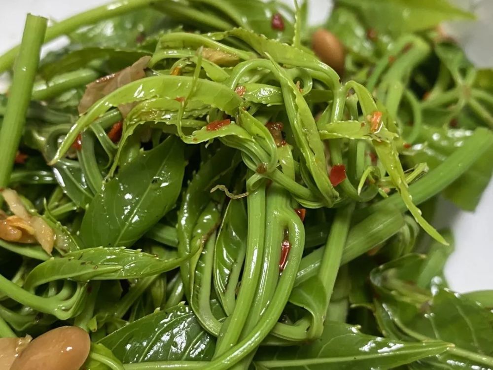 【美食】澜沧人舌尖上的"春宴"——火灵菜!_腾讯新闻