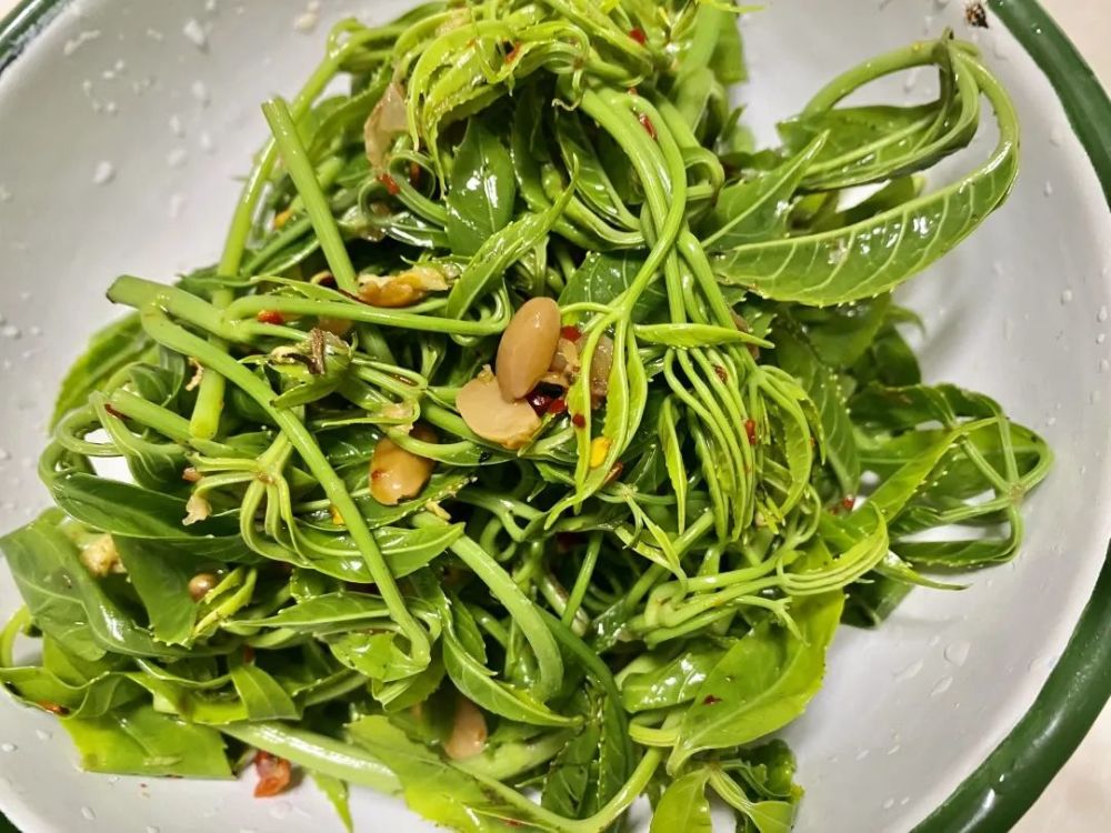 【美食】澜沧人舌尖上的"春宴"——火灵菜!_腾讯新闻