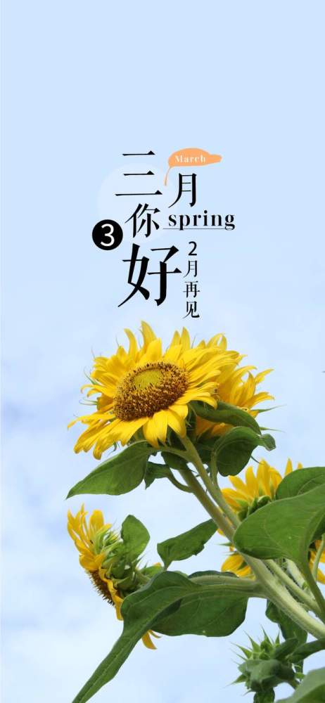 阳春三月的图片带文字图片