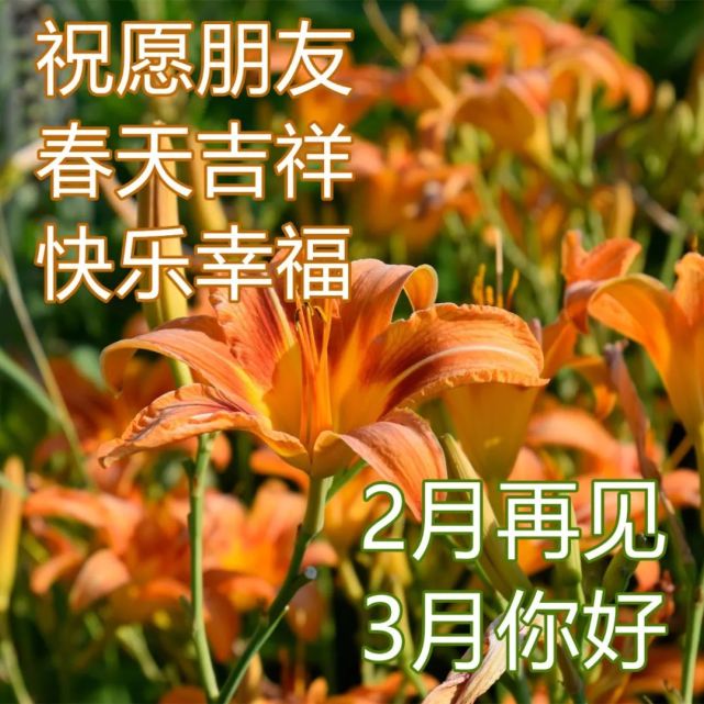 2022年3月01日清晨早上好问候祝福动态表情图片 最新早安问候祝福图片