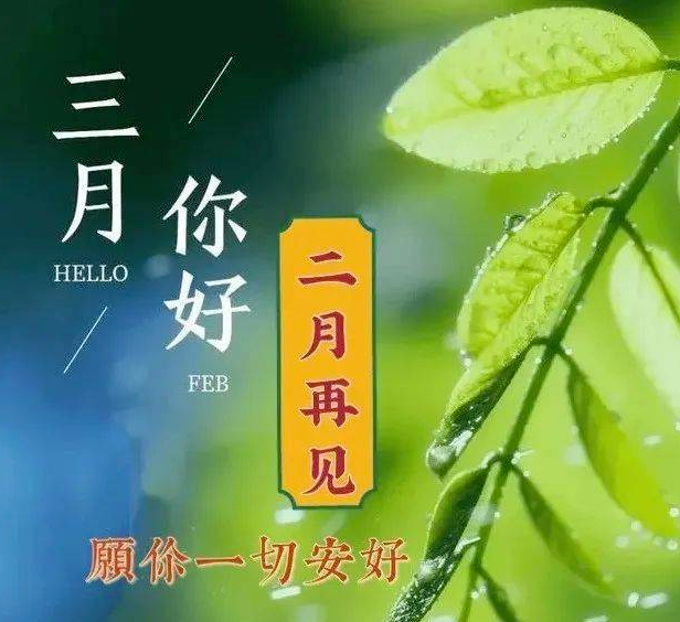 三月你好二月再见微信群发早上好图片问候祝福语带鲜花问候早安的好