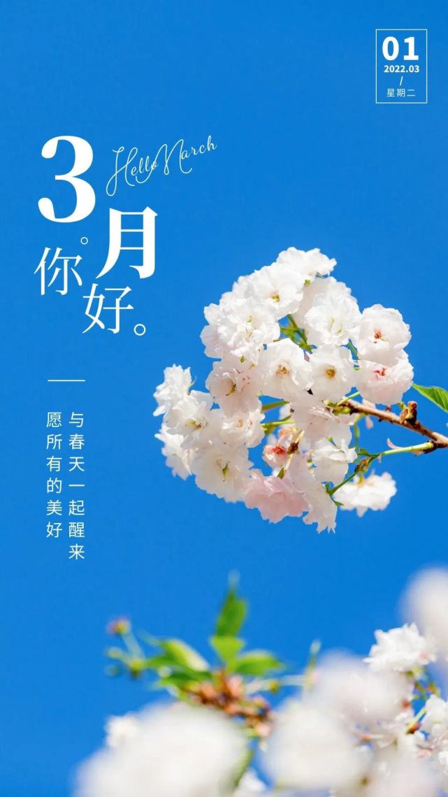 三月你好图片配图大全唯美高清带字,适合3月的简短文案句子