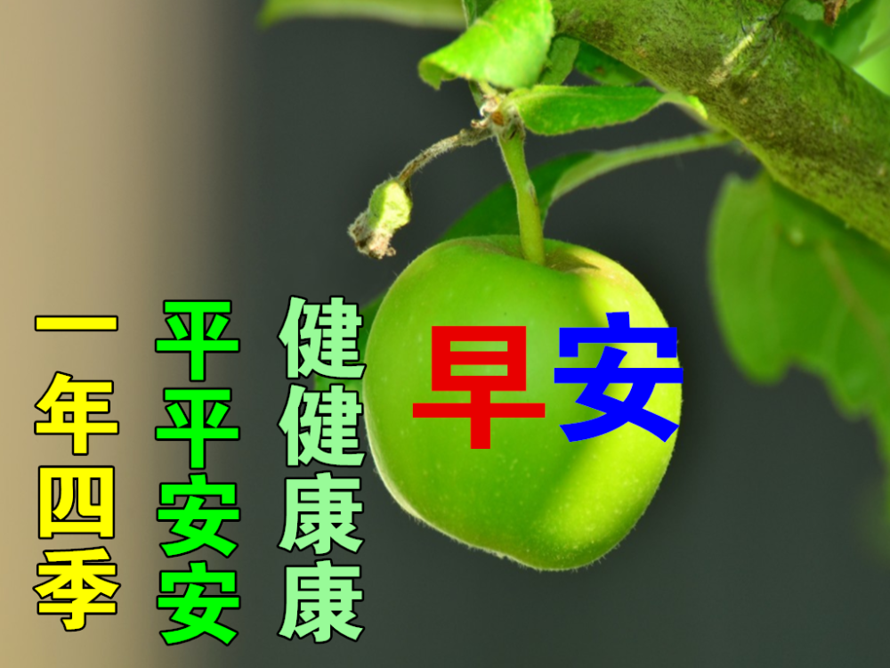 二月二龙抬头早上好动态表情包大全早上好问候语吉祥动态图片