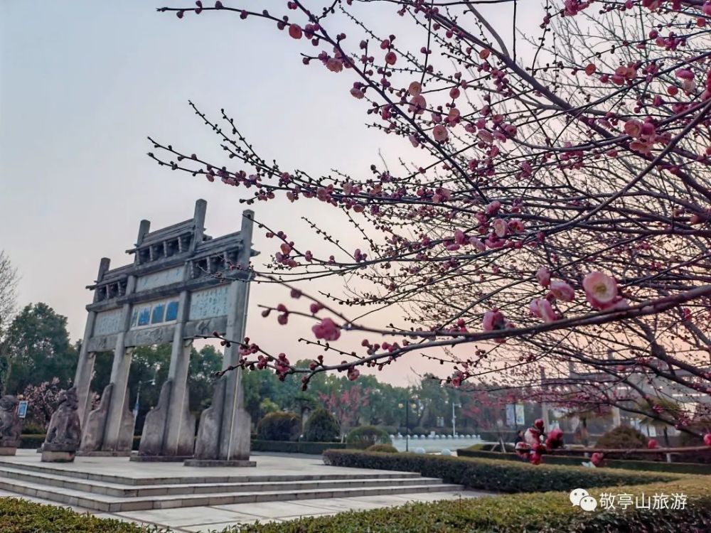 春天的敬亭山,处处是花开的喜悦～_腾讯新闻