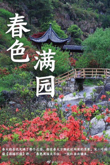 语文早读课 在成语中邂逅春日浪漫 天天看点