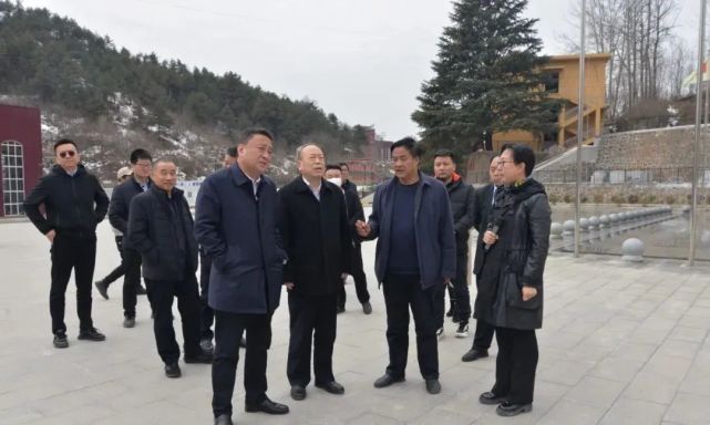 县长杨长江陪同省市领导在洛南企业进行调研