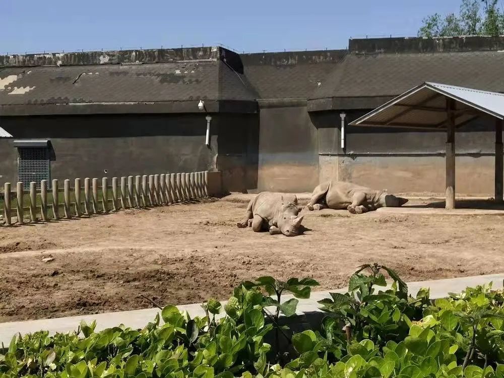 東營動物園約惠女神寵你不停