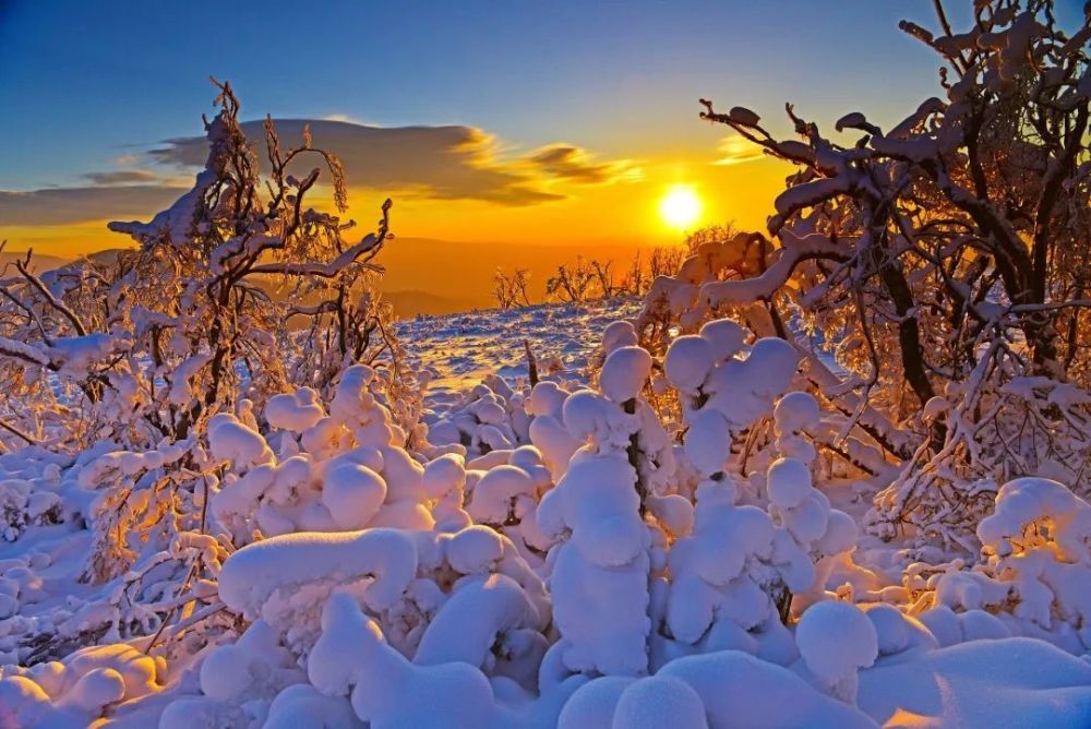 日出东方雪韵吉乡