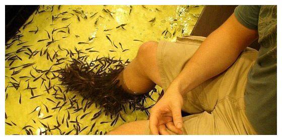 男子做鱼疗5分钟后鱼全部死亡商家索赔3万元男子拒绝