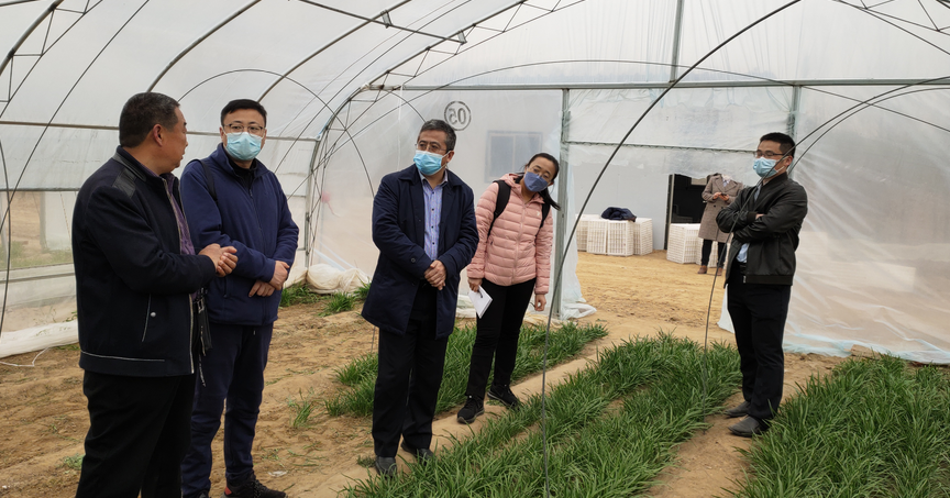 孙庆杰矢志三农追求卓越