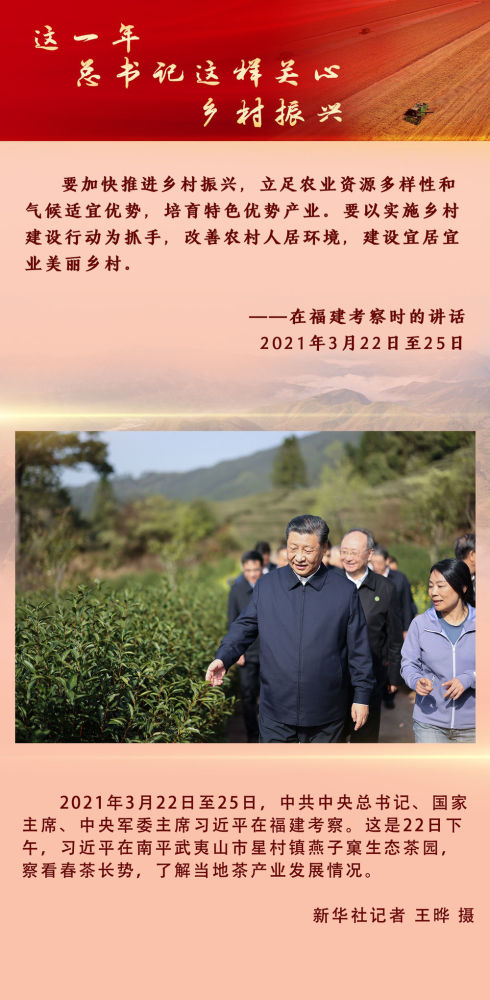 这一年，总书记这样关心乡村振兴共产主义中国和自由世界的未来