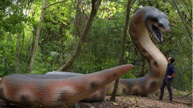 世界上最大的蛇到底能长到多大秦岭真的有盘山巨蟒吗