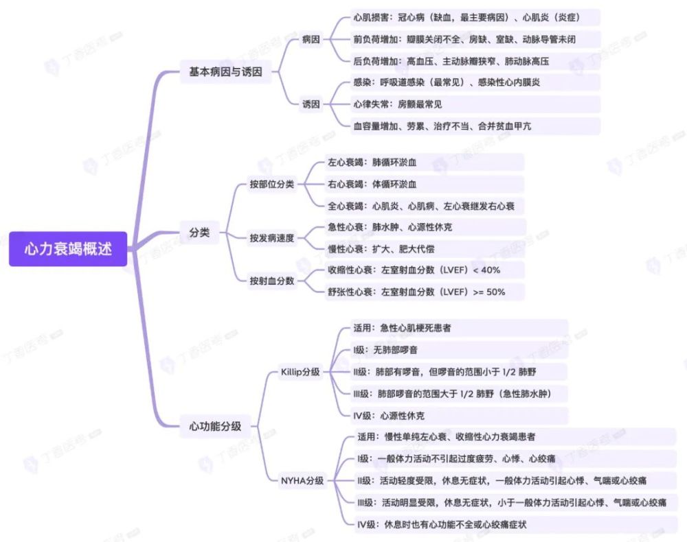 思維導圖心血管系統之心力衰竭概述