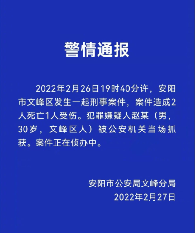 刑事律师李扬安阳被害女童母亲发声精神病杀人应承担什么责任