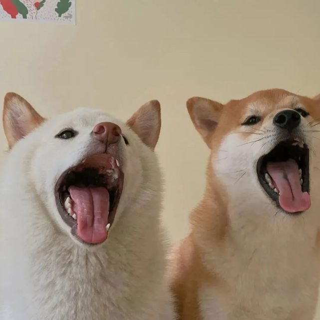 双人向系列头像可作情头闺蜜头像基友头像