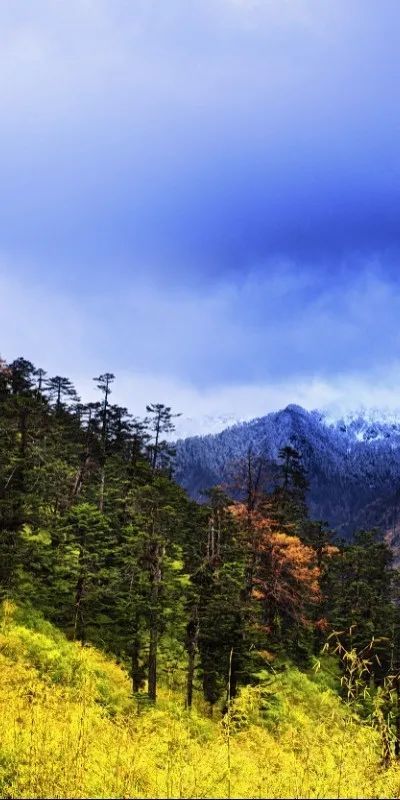 早安云南│高山桃源秘境