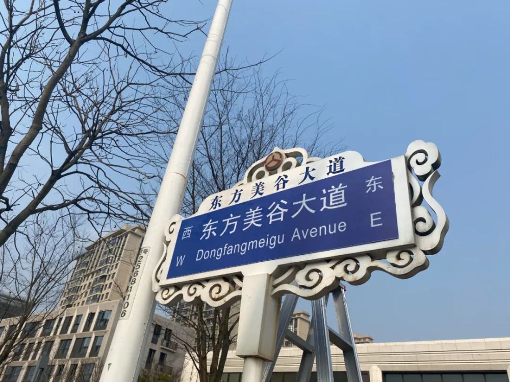 东方美谷大道今日正式启用