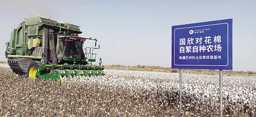 全国最大的棉花种子生产基地,近日,沧州援疆企业国欣种业和新疆巴州联